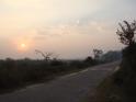 The Keoladeo Bird sanctuary. 8 am