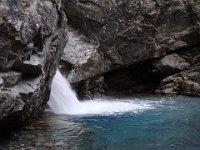 ... dans le bassin, même si l'eau est un peu fraîche.