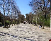 00 À peine arrivés à Paris, nous allons vite au Jardin des plantes ...