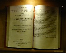 10 ... mais, bien sûr, Darwin est à l'honneur.