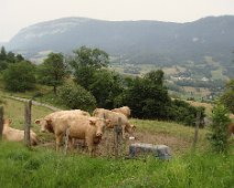 03 Des étrangères (d'Indre-et-Loire ?).