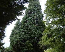 11 Aux Jardins de l'Europe ...