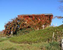 01 Magnifique mois d'octobre à Groisy ...