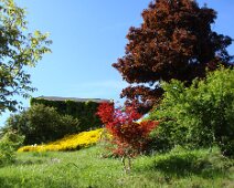 08 ... et un magnifique ciel bleu.