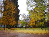 Derrière la mairie, les dernières feuilles d'automne jonchent le sol.