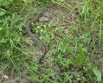 03 Moins sympathique ...