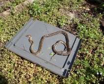 05 En fait retrouvée morte le lendemain.