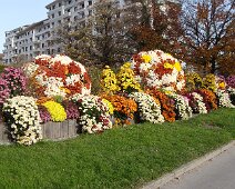 09 - 10 Courte balade à Annecy. Beau massif de fleurs d'automne ...