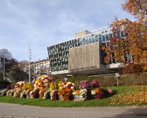 09 ... pour égayer un peu le Palais de justice !