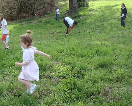 Chasse aux œufs