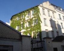 06 Au passage, belle vigne vierge.
