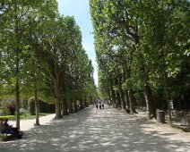 01 Jardin des plantes. Encore une lectrice (à gauche) !