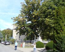 ... avant d'aller au château de l'Échelle (XIVe siècle)...